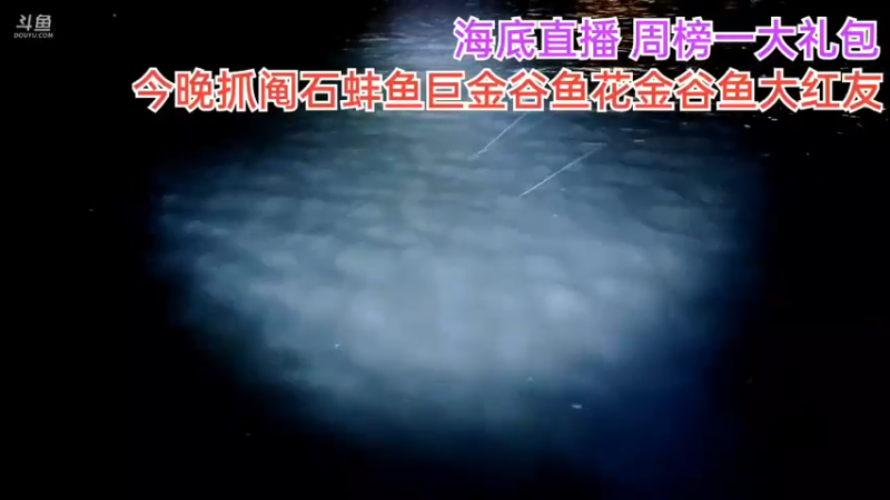 【2021-09-25 21点场】海道丶：干干干就是干 5408206