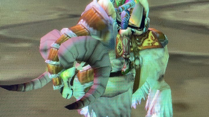 TNB第二周毒蛇国服第二风暴国服第一