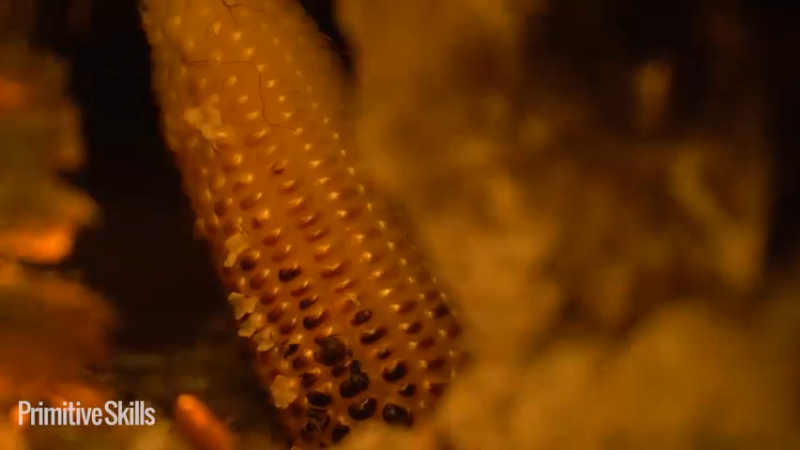 3基地B124卫生间自来水系统(22)山野基地】《如果你一无所有 进入单人我的世界，自由荒野 离网乐园 全手工制作耕种 快乐野外生活》