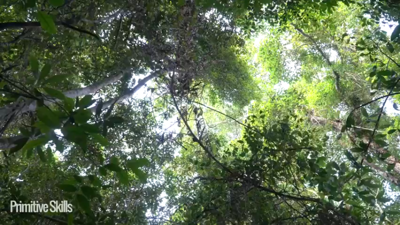 3基地B125平民草鞋王(5)山野基地】《如果你一无所有 进入单人我的世界，自由荒野 离网乐园 全手工制作耕种 快乐野外生活》