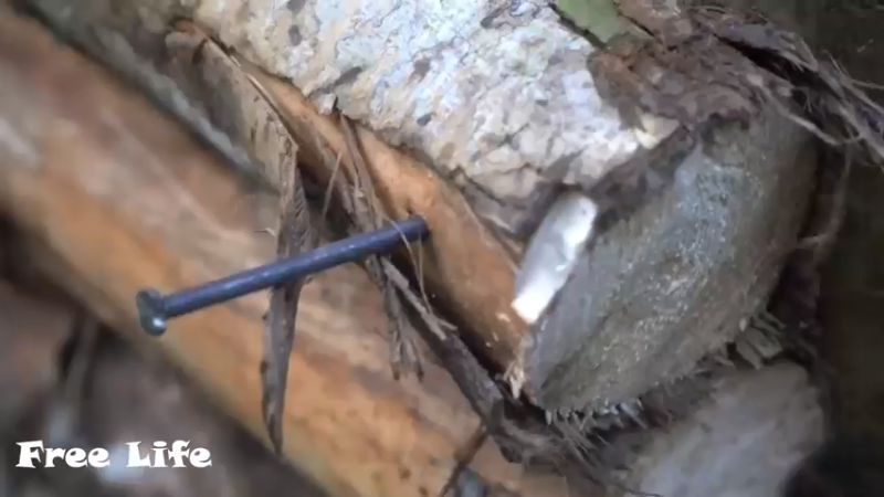 野外觅桃源W38制作蔬菜种植架17#妹子独自深入荒野隐居，建设世外桃源