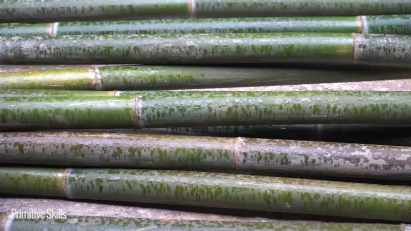 3基地B126竹筏旅游(10)山野基地】《如果你一无所有 进入单人我的世界，自由荒野 离网乐园 全手工制作耕种 快乐野外生活》