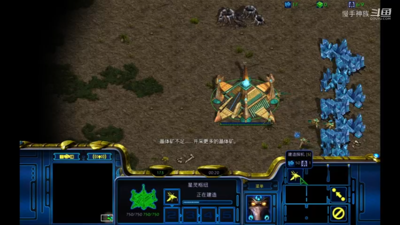 pvp水螅2021-09-25 .a
