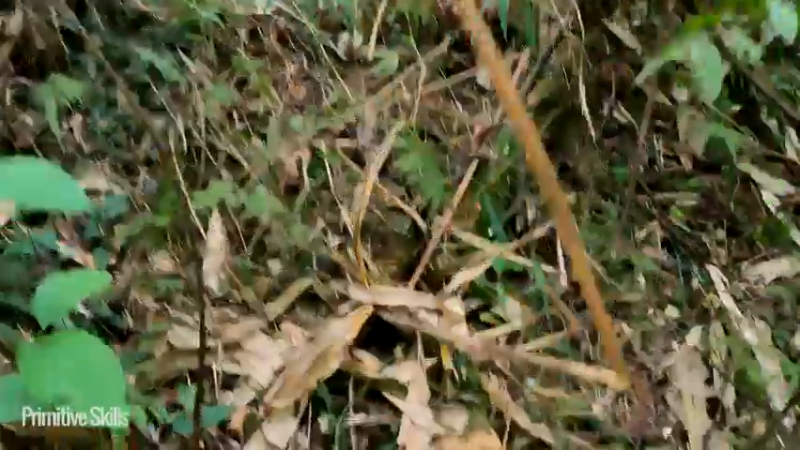 3基地B126竹筏旅游(25)山野基地】《如果你一无所有 进入单人我的世界，自由荒野 离网乐园 全手工制作耕种 快乐野外生活》