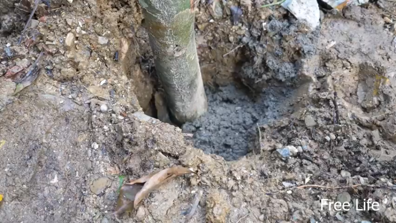 野外觅桃源W30水力锤16#妹子独自深入荒野隐居，建设世外桃源