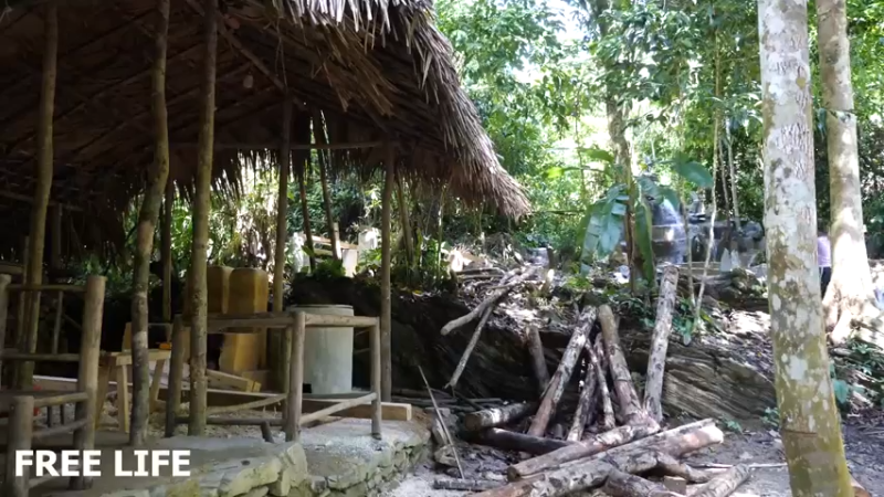 野外觅桃源W37房子地基下12#妹子独自深入荒野隐居，建设世外桃源