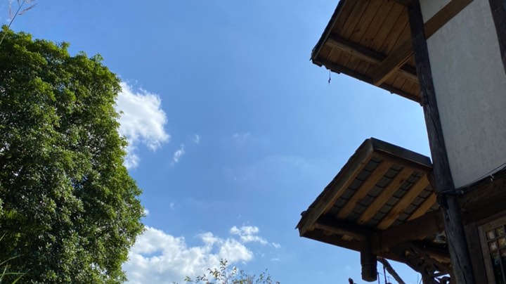 是啊