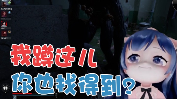 【一条小团团】我蹲这  你也找得到？