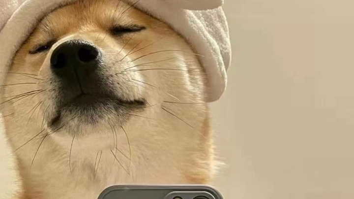 录像