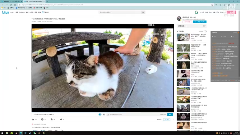 【2021-09-25 16点场】风命逐流：随便玩一玩 9731104