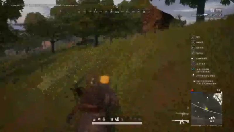 PUBG　PS4 吃鸡系列上车了35手柄刺激@吃鸡！