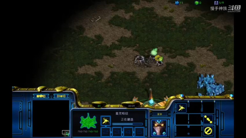 pvt斗魂2021-09-27