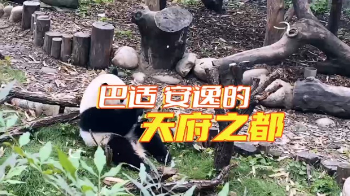 《奔跑吧！主播》第三季活动先导片奉上[弹幕梗上流]
活动第二天精彩继续，泳池大趴体，八大嘉宾终极pk！等你来看！