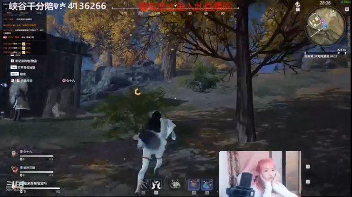 【塔莉娅QAQ】奶妈辅助和队友密切配合4杀吃鸡