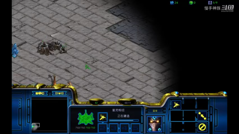 pvp苯环rash罗双的P2021-09-27