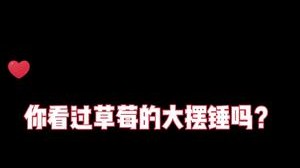 建议多看几次录像，好好学一下