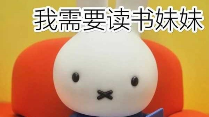 宿舍五排