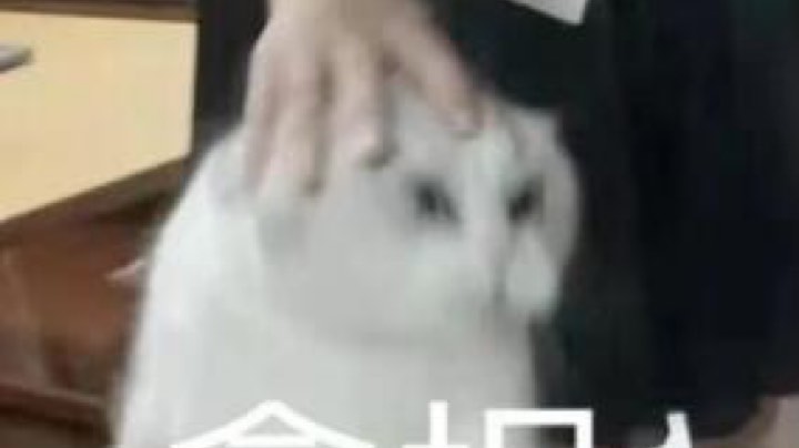 【 2021-09-25 13点场】糖醋鲲：新赛季上大分（2