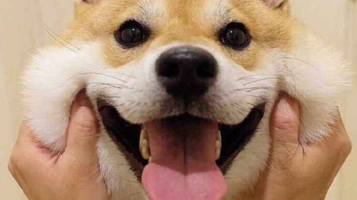 千古风流