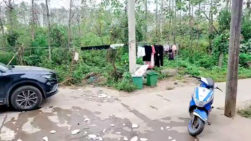 【2021-09-27 11点场】洪湖小肖：新的一天开始-继续加努力！