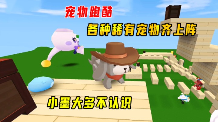 迷你世界：宠物跑酷！各种稀有宠物齐上阵，瞅了半天大多都不认识