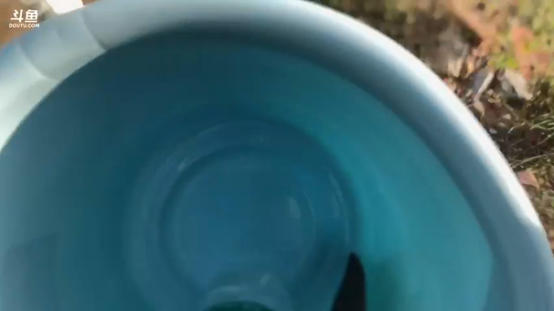 【2021-09-27 17点场】解说TH：TH:开局一把刀，装备全靠吹