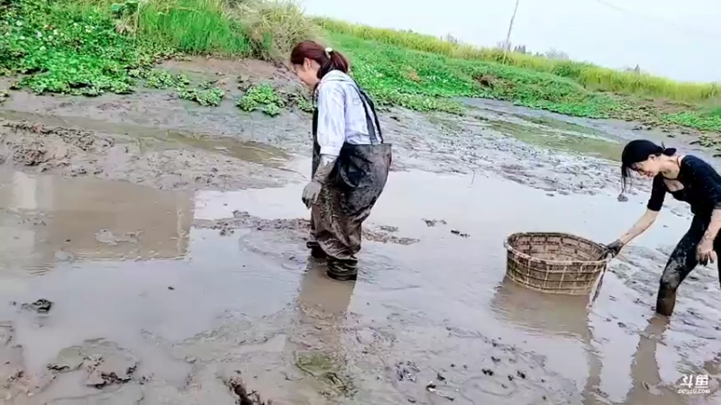 【2021-09-27 17点场】洪湖小肖：新的一天 - 抓鱼！