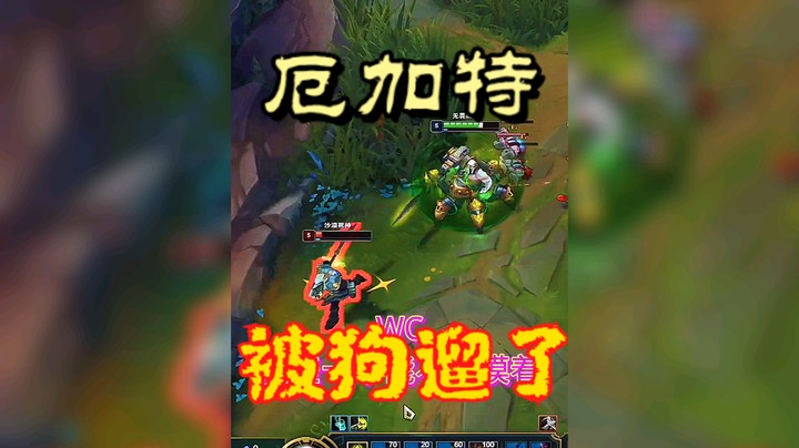 厄加特被狗遛了一圈