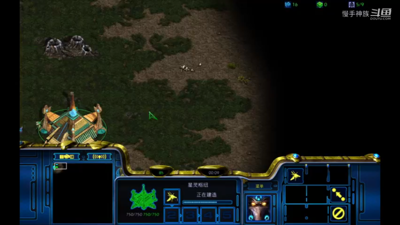 pvp水螅图龙骑+甲虫2021-09-27