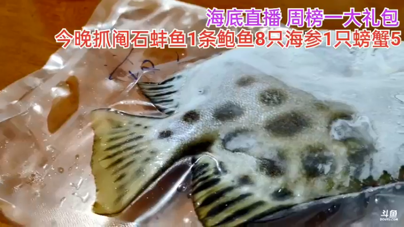 【2021-09-27 21点场】海道丶：海道丶天然美食开始啦！