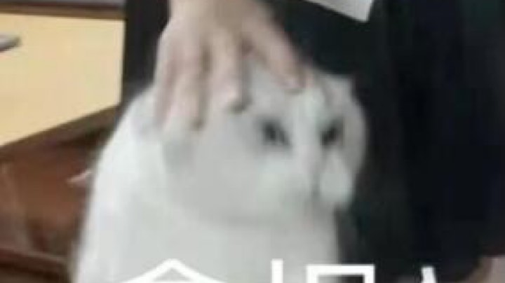 【 2021-09-25 13点场】糖醋鲲：新赛季上大分