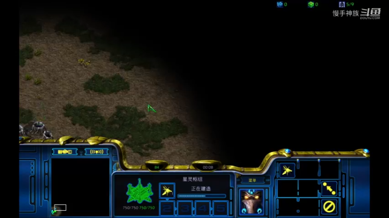 pvt水螅2021-09-27