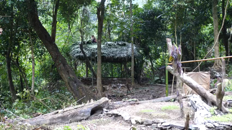 更新1季搭建安居小屋 就是这里吧！(22)深入荒野隐居修仙,建设世外桃源投个币吧