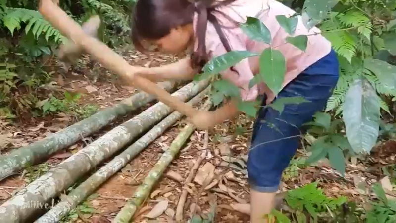 偏远边塞 云南妹子丛林之家(7)更新day9