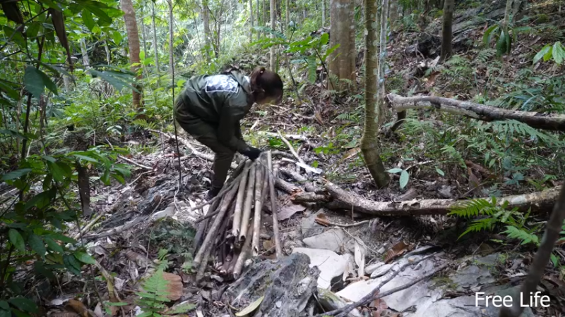 更新 给狗狗搭建狗屋(18)深入荒野隐居修仙,建设世外桃源投个币吧