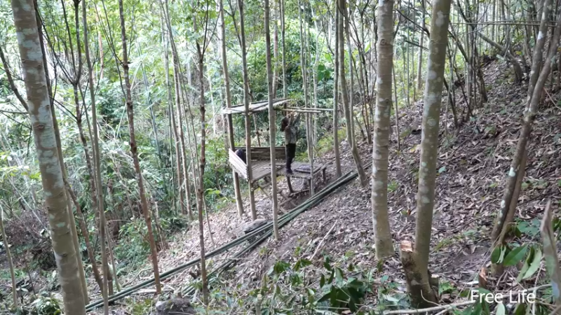 更新树屋(13)深入荒野隐居修仙,建设世外桃源投个币吧