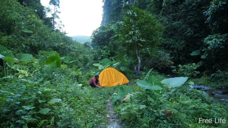 更新1季必须吃点新鲜的(5)深入荒野隐居修仙,建设世外桃源投个币吧