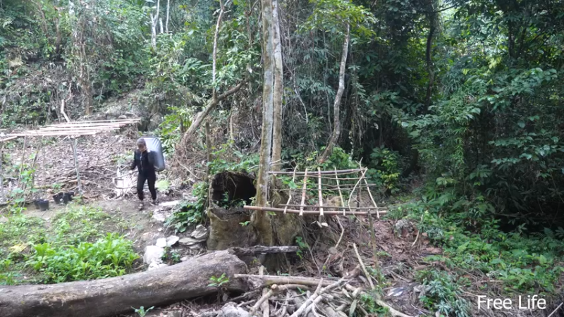 更新 制作厨具传统泡菜(3)深入荒野隐居修仙,建设世外桃源投个币吧