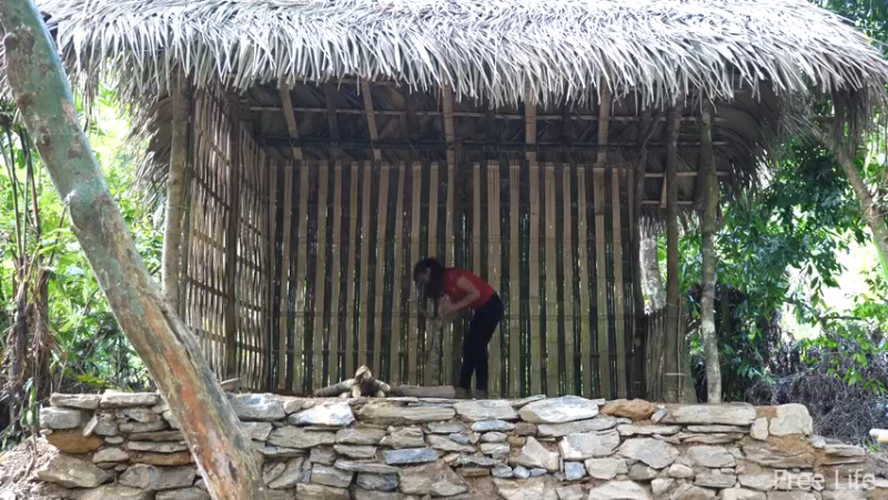 更新1季暂时还住临时小屋(3)深入荒野隐居修仙,建设世外桃源投个币吧
