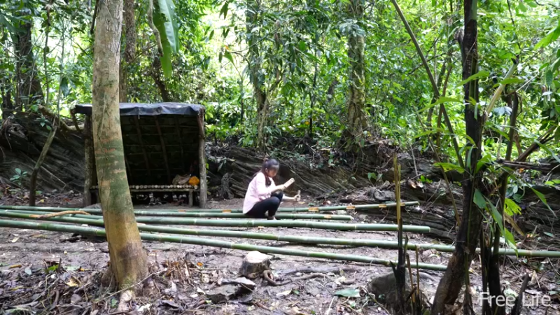更新1季在小溪变选择活水(8)深入荒野隐居修仙,建设世外桃源投个币吧