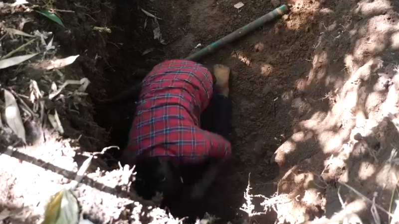 更新1季独自越野远离尘嚣(7)深入荒野隐居修仙,建设世外桃源投个币吧