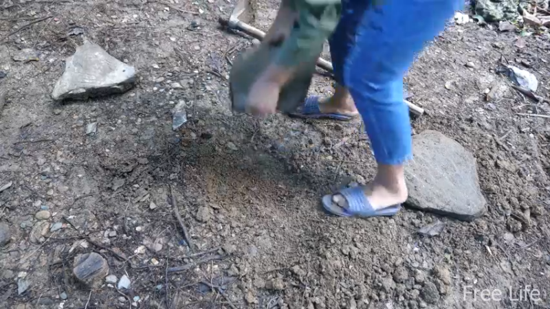 更新1季房间的墙壁和地板(5)深入荒野隐居修仙,建设世外桃源投个币吧