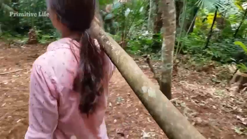 偏远边塞 云南妹子丛林之家(3)更新4