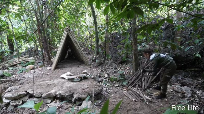 更新 给狗狗搭建狗屋(20)深入荒野隐居修仙,建设世外桃源投个币吧