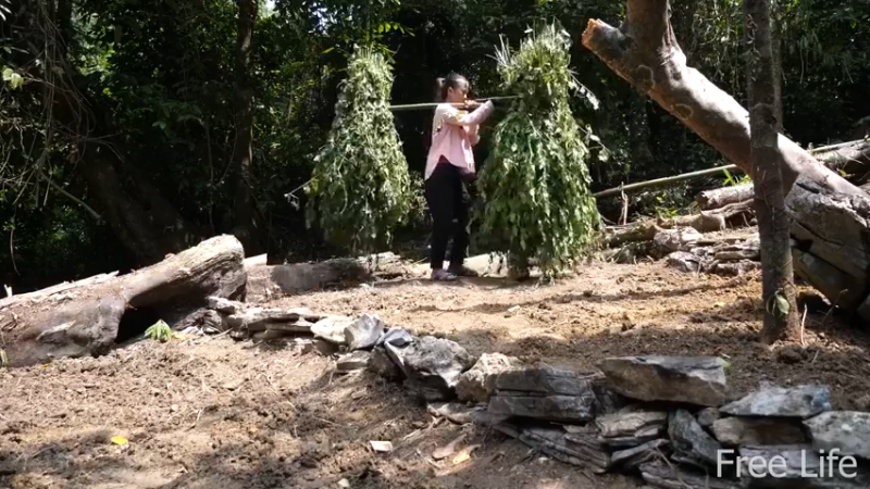 更新1季 收拾新住所 桃花源(18)深入荒野隐居修仙,建设世外桃源投个币吧