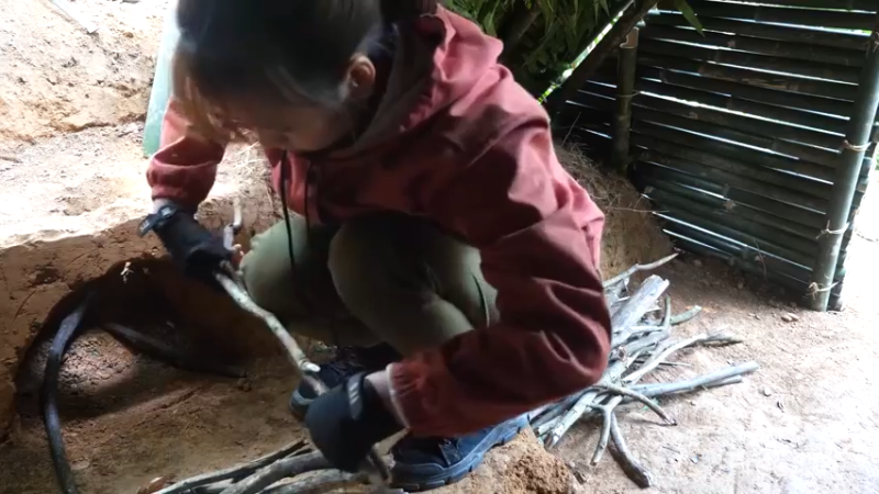 更新在山里度过节日(21)深入荒野隐居修仙,建设世外桃源投个币吧