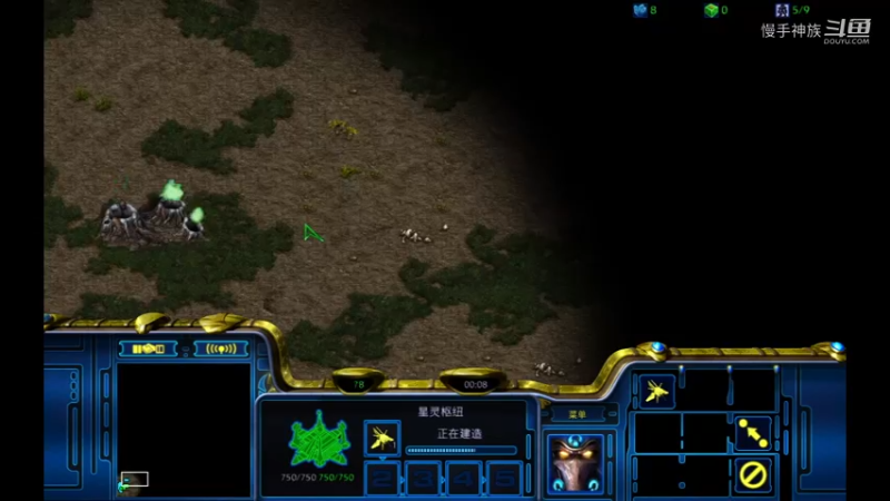 pvz2bg开局斗魂2021-09-28