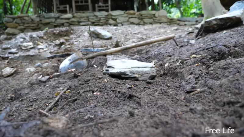 更新升级树屋(12)深入荒野隐居修仙,建设世外桃源投个币吧