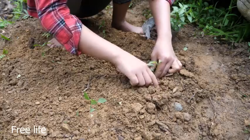 更新 磨面机器(5)深入荒野隐居修仙,建设世外桃源投个币吧