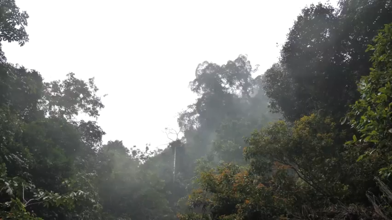 更新 磨面机器(1)深入荒野隐居修仙,建设世外桃源投个币吧